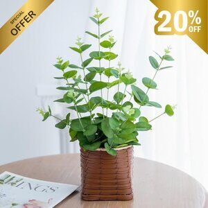 16" Eucalyptus Artificial Plant in Coffee Pot with Stones – Faux Indoor Decor